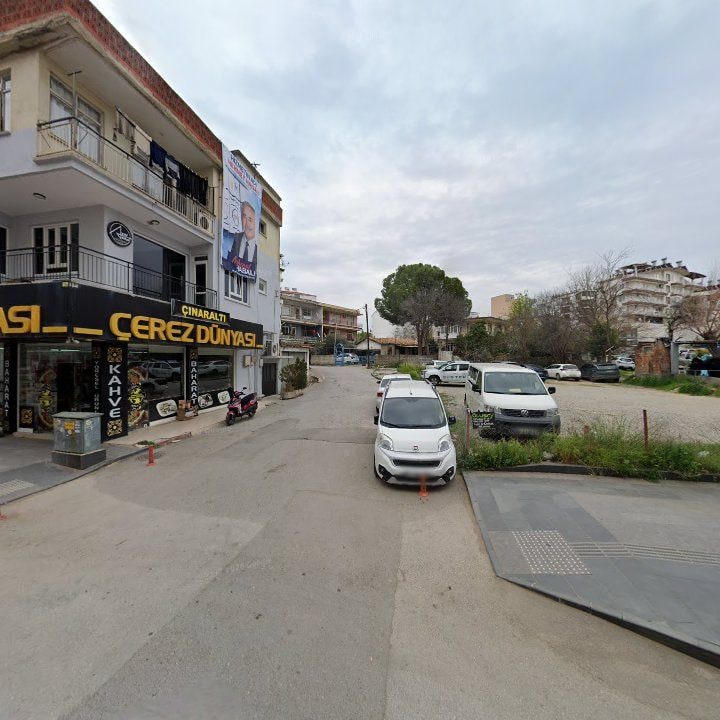 Fotoğraf 10