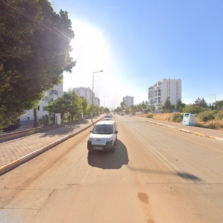 Fotoğraf 7