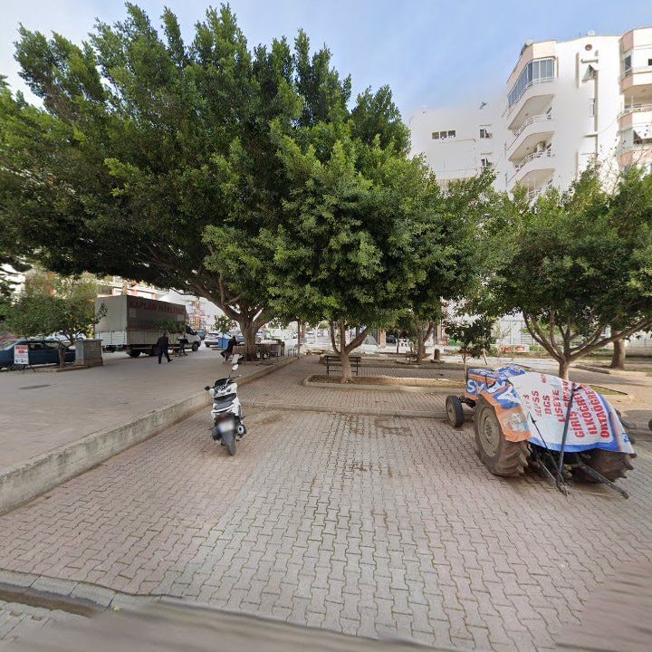 Fotoğraf 9