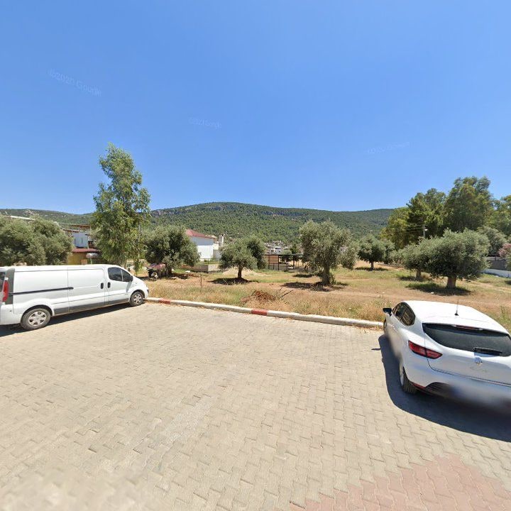 Fotoğraf 7