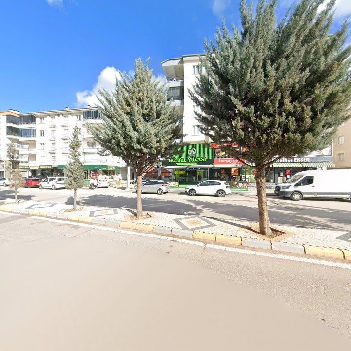 Fotoğraf 3
