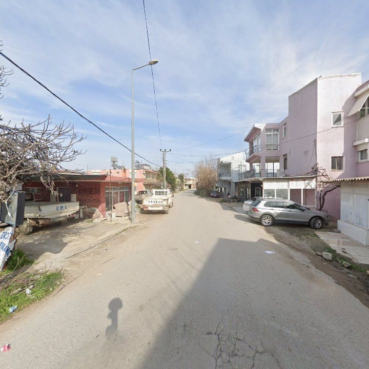 Fotoğraf 7