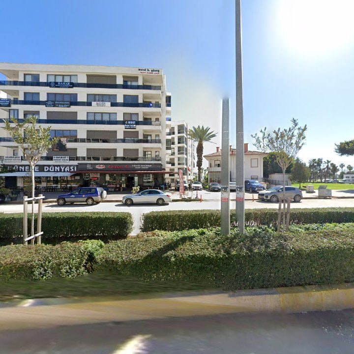 Fotoğraf 8