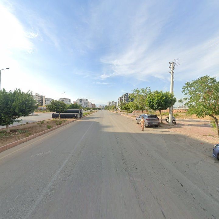 Fotoğraf 12