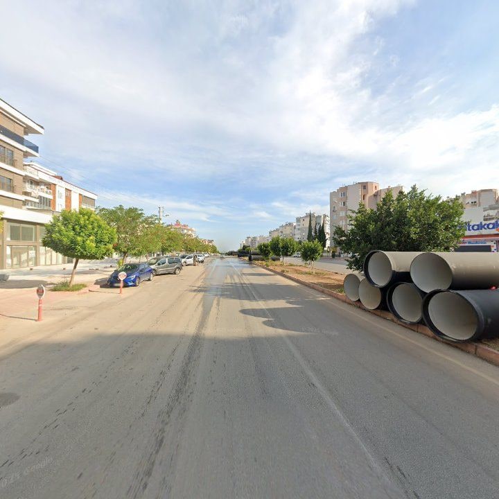 Fotoğraf 10