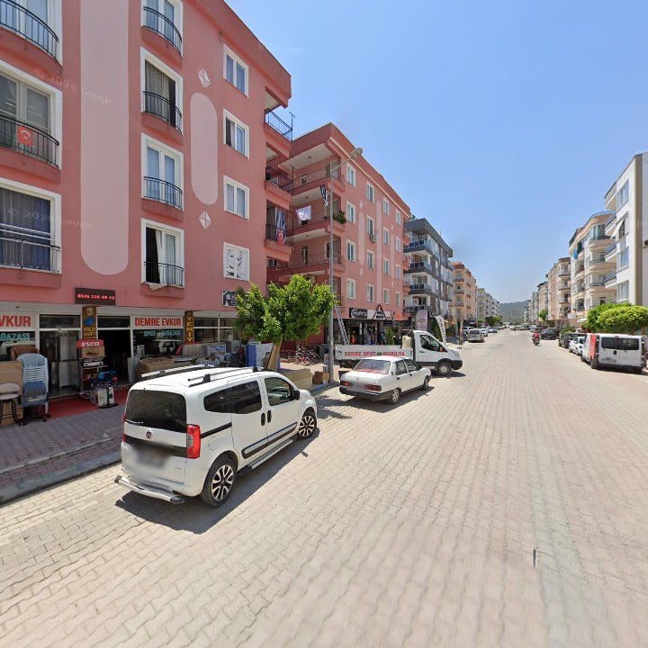 Fotoğraf 12