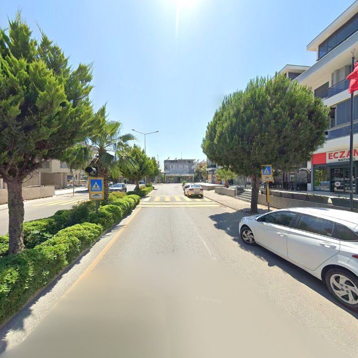 Fotoğraf 11