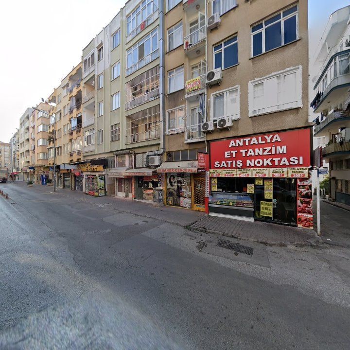 Fotoğraf 12