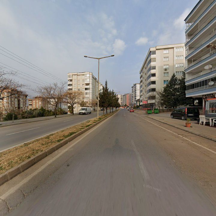 Fotoğraf 12