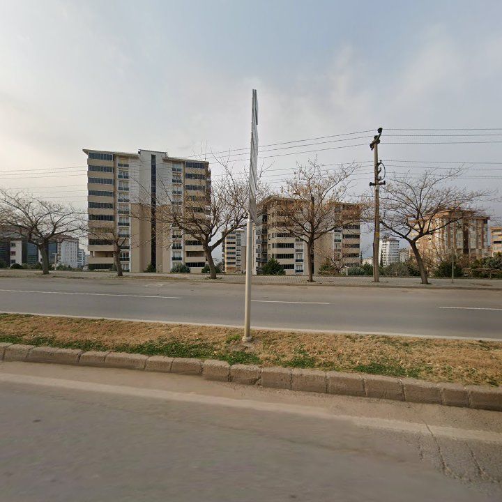 Fotoğraf 11