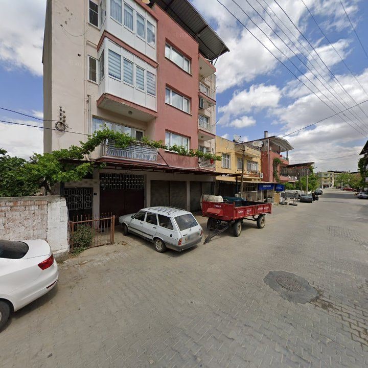 Fotoğraf 6