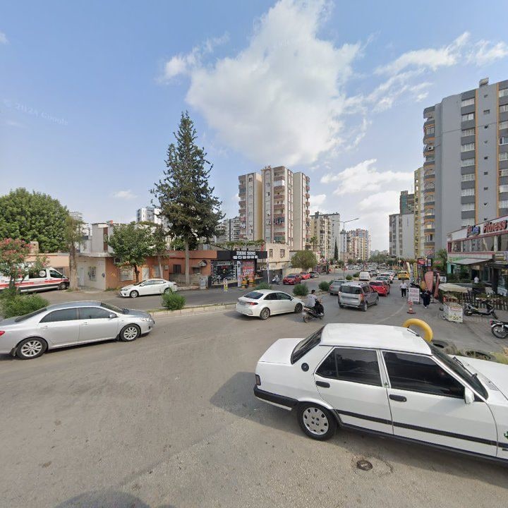 Fotoğraf 9