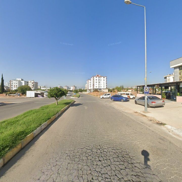 Fotoğraf 7