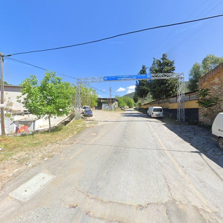 Fotoğraf 12