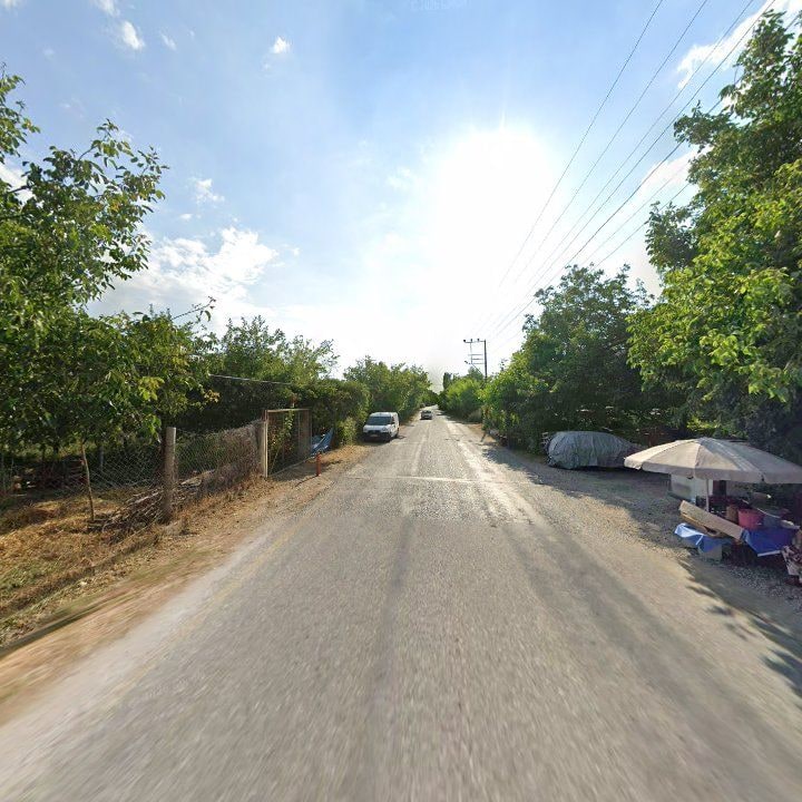 Fotoğraf 11
