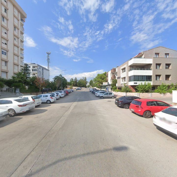 Fotoğraf 9
