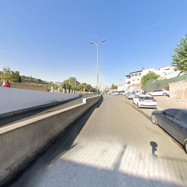 Fotoğraf 10