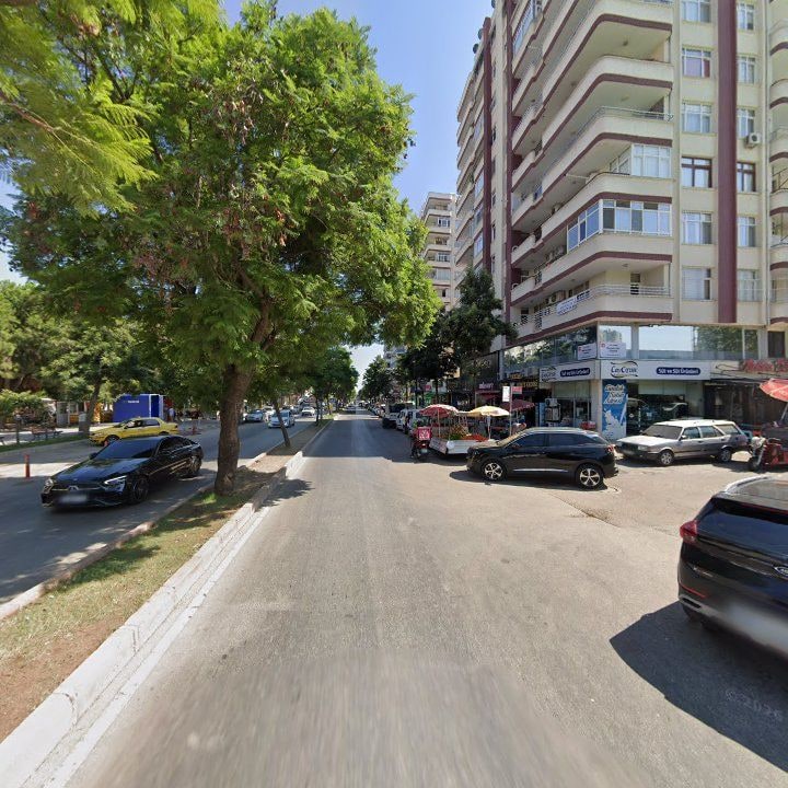 Fotoğraf 6