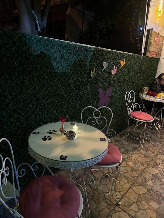 Kuytu Çayevi