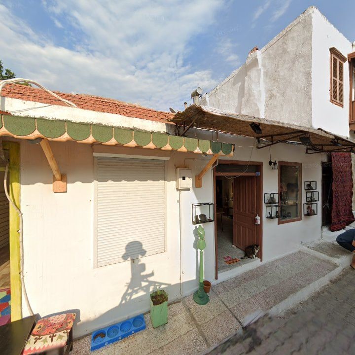 Fotoğraf 8