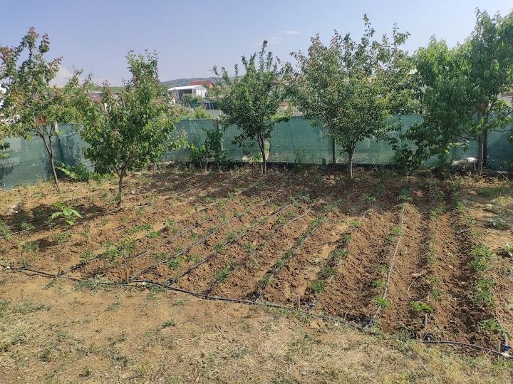 Kuyubaşı Bahçesi