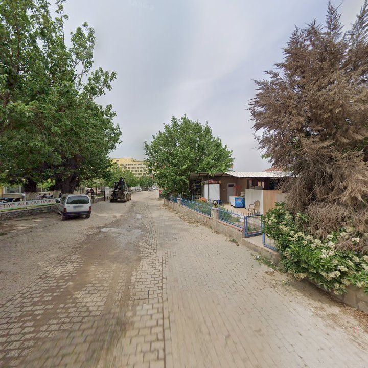 Fotoğraf 9