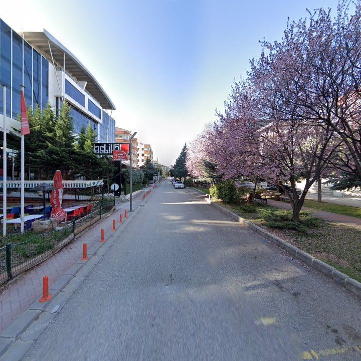 Fotoğraf 10
