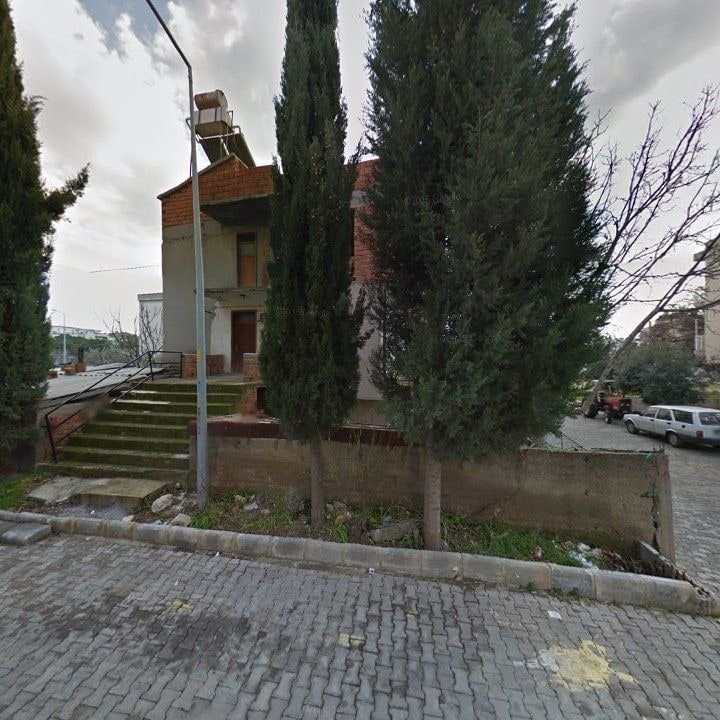 Fotoğraf 7