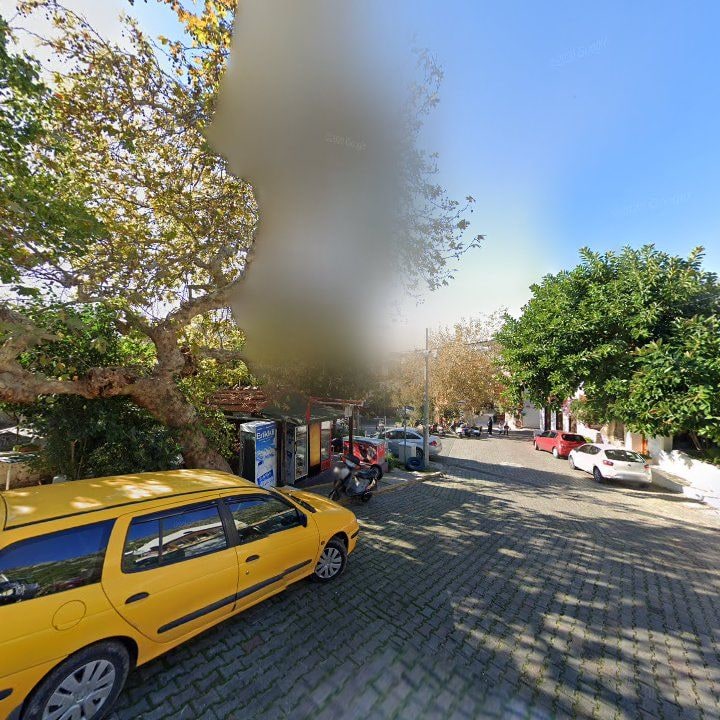 Fotoğraf 15