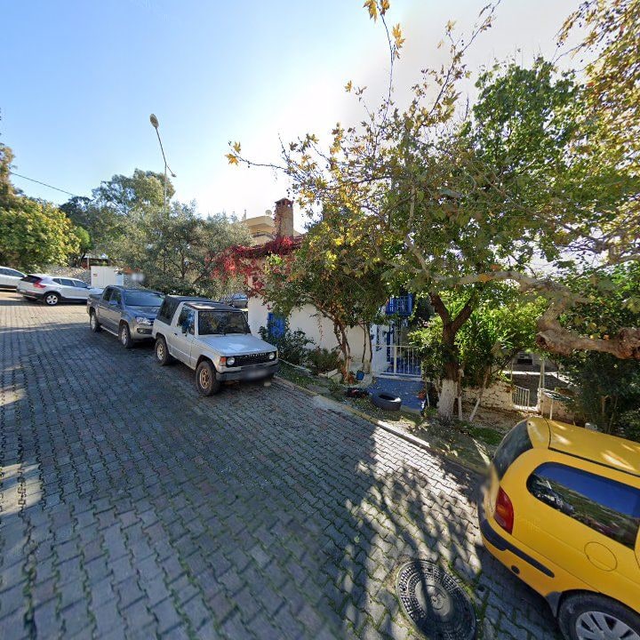 Fotoğraf 14