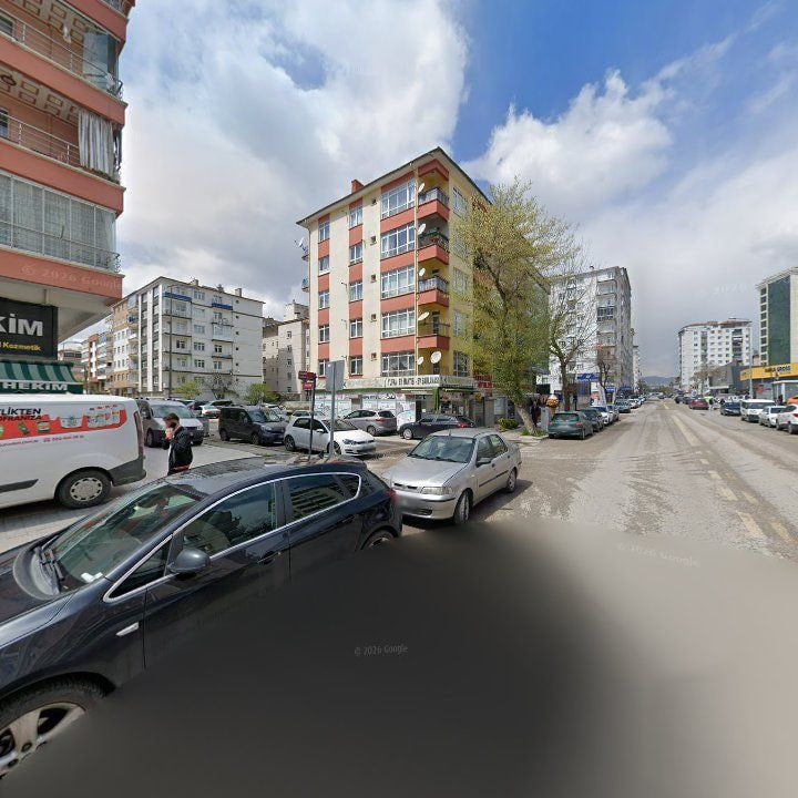Fotoğraf 8