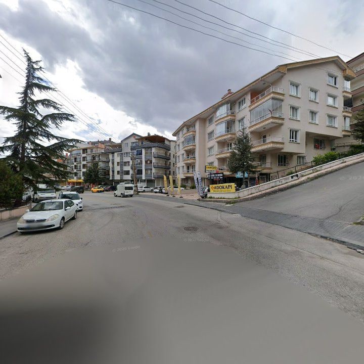 Fotoğraf 9