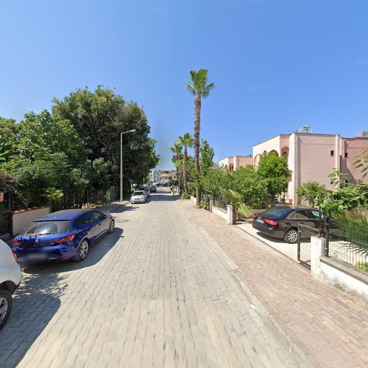 Fotoğraf 10