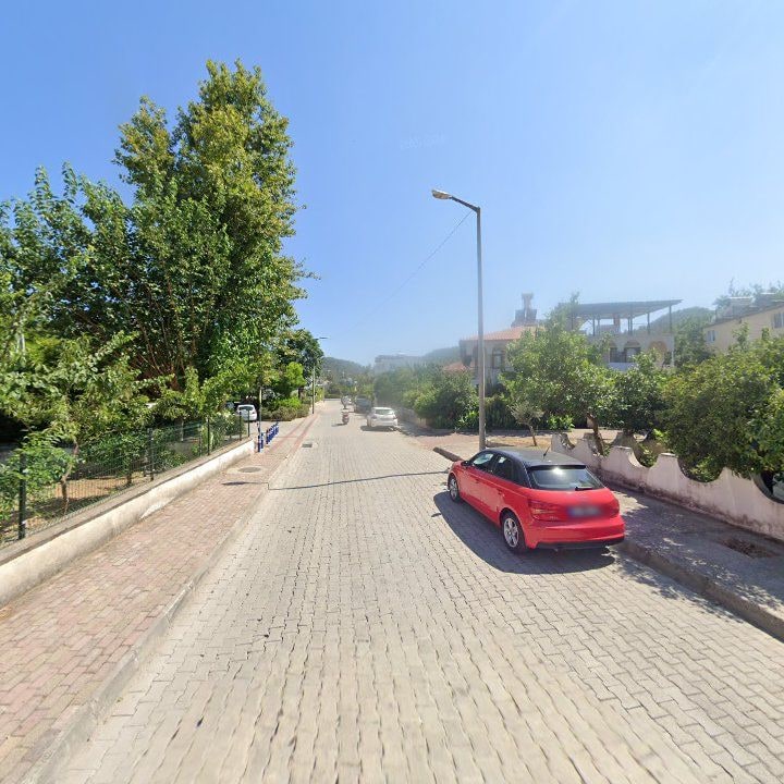Fotoğraf 12