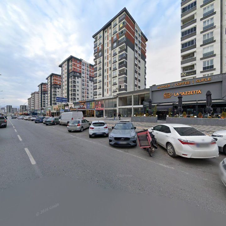 Fotoğraf 9