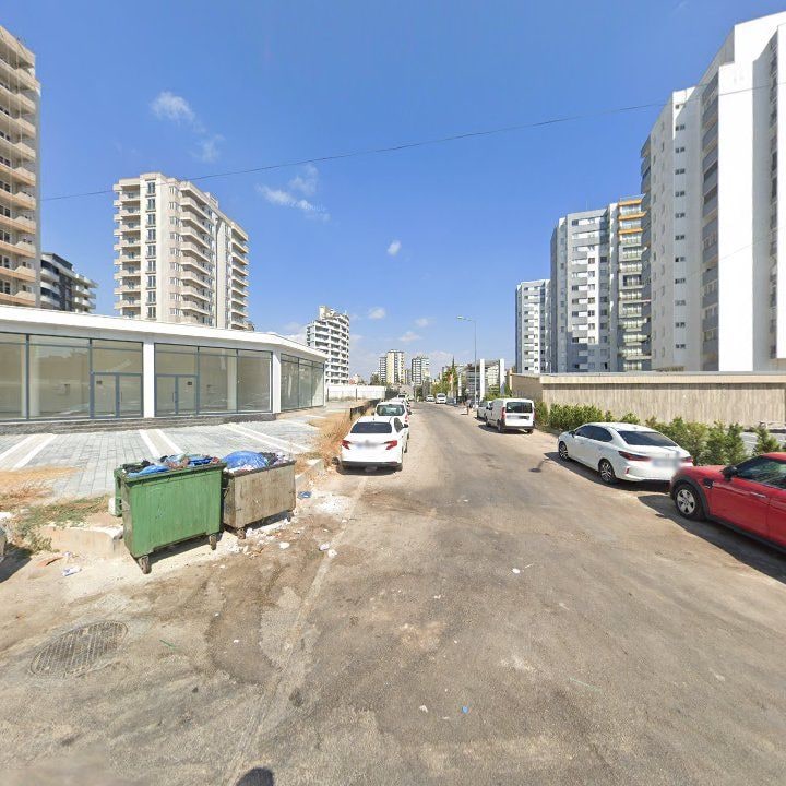 Fotoğraf 8