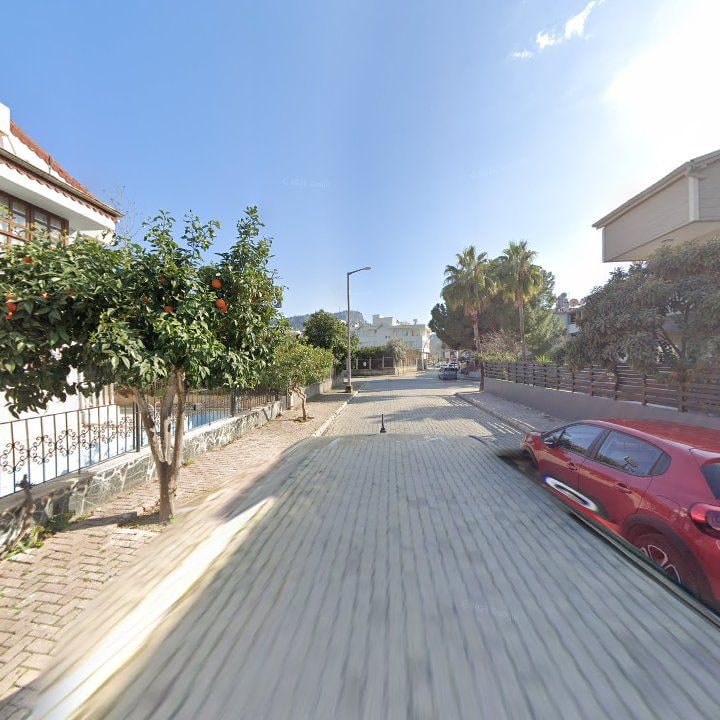 Fotoğraf 9