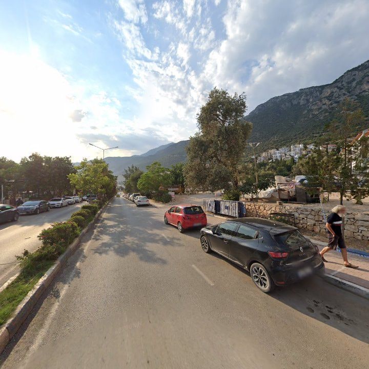 Fotoğraf 15