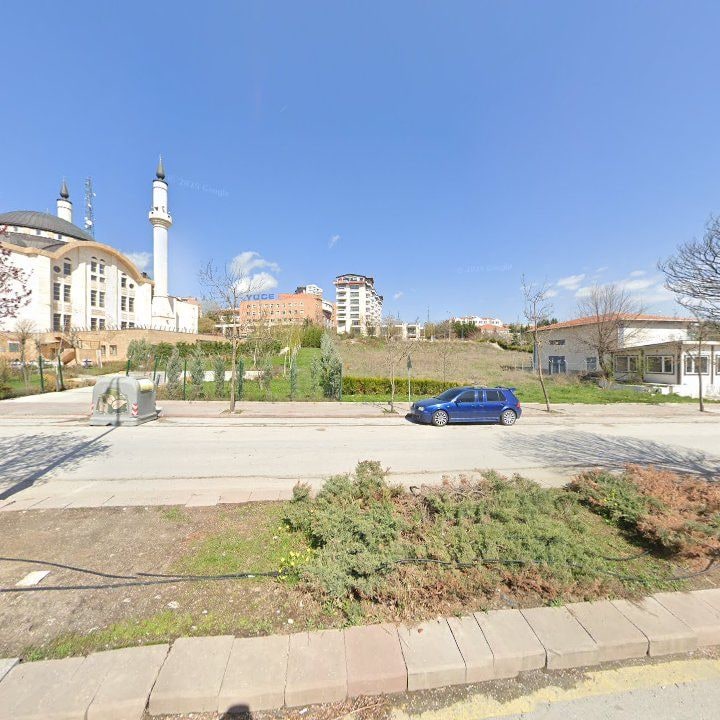 Fotoğraf 6