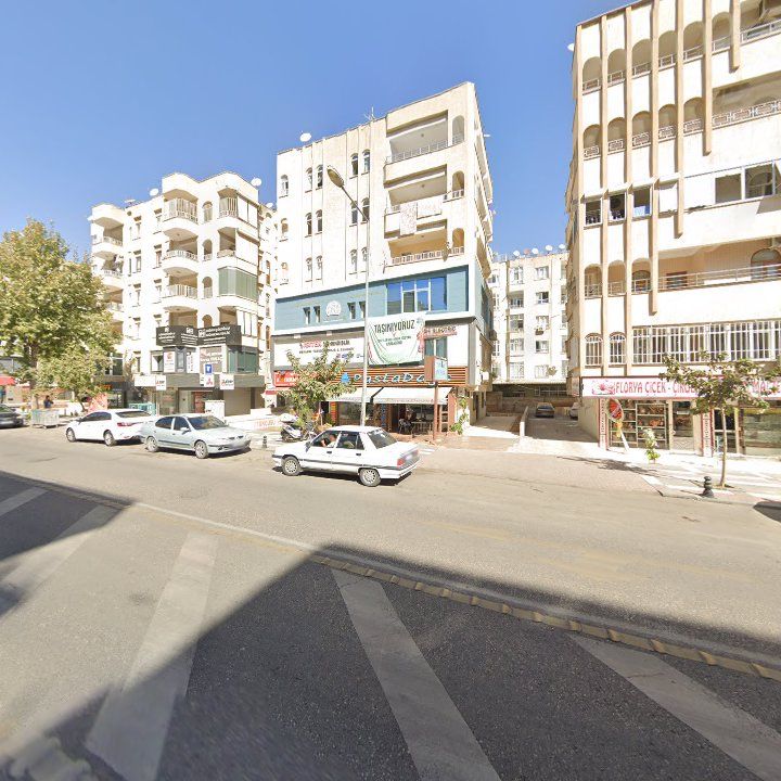 Fotoğraf 10