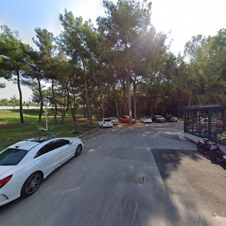Fotoğraf 12