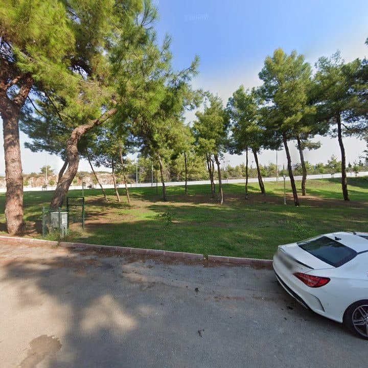 Fotoğraf 11