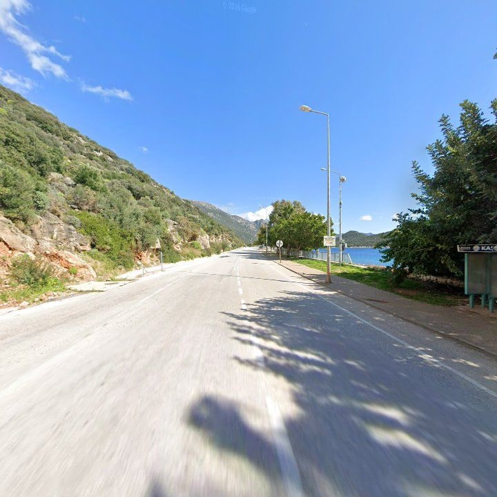 Fotoğraf 12