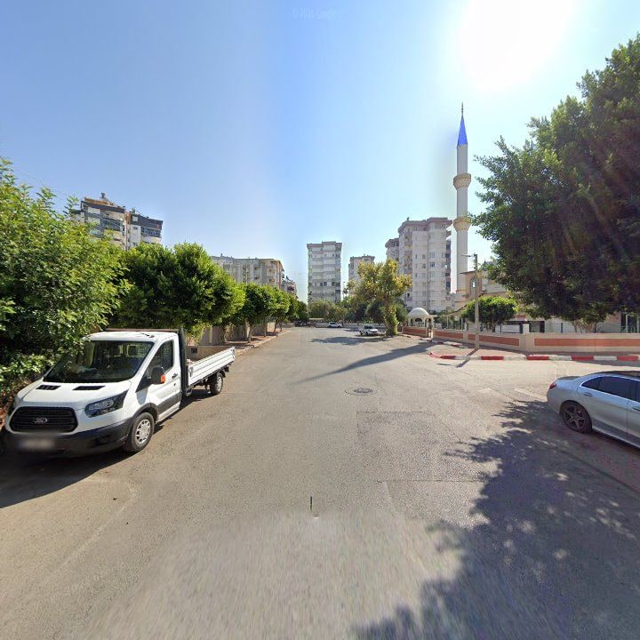 Fotoğraf 11