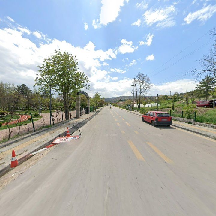 Fotoğraf 8