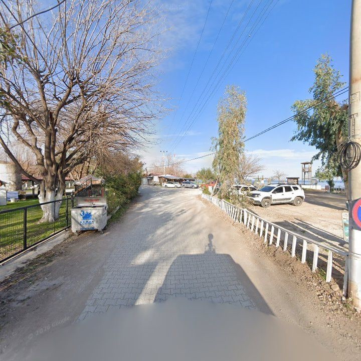 Fotoğraf 11