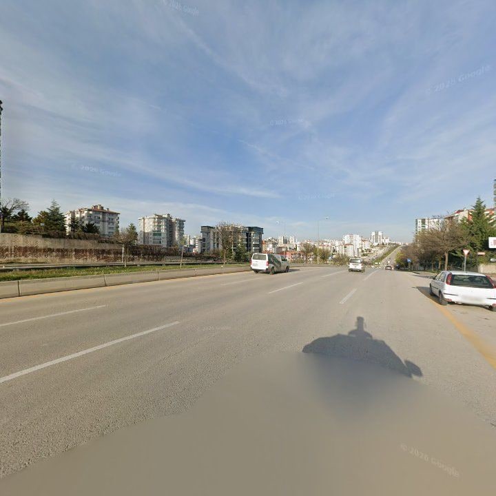 Fotoğraf 11