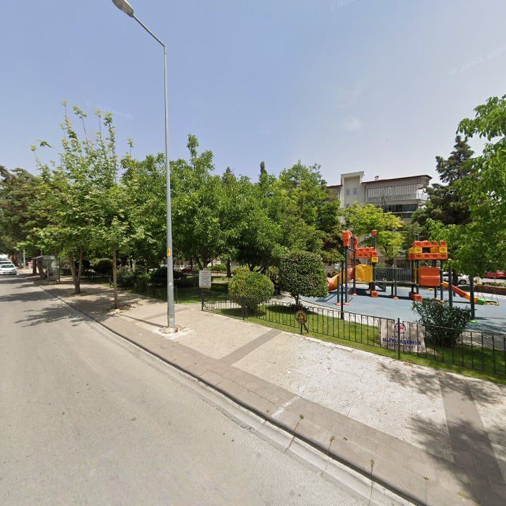 Fotoğraf 13
