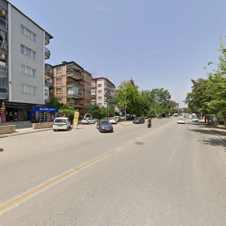 Fotoğraf 12