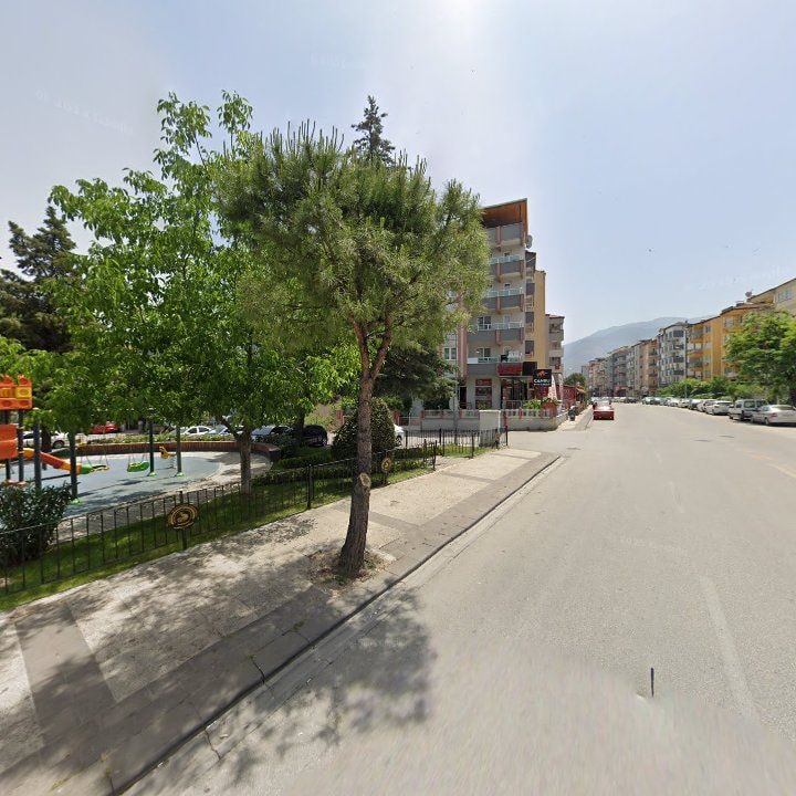 Fotoğraf 14